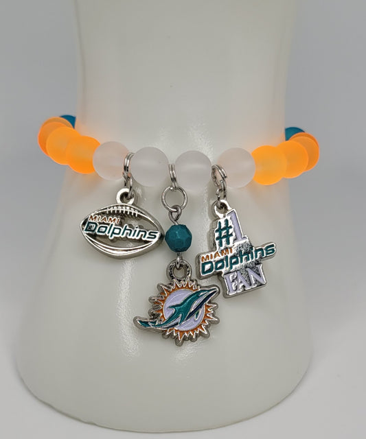 Go Dolphins!